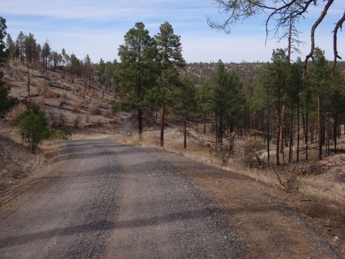 we're descending into the valley of the East Fork of the Gila River.